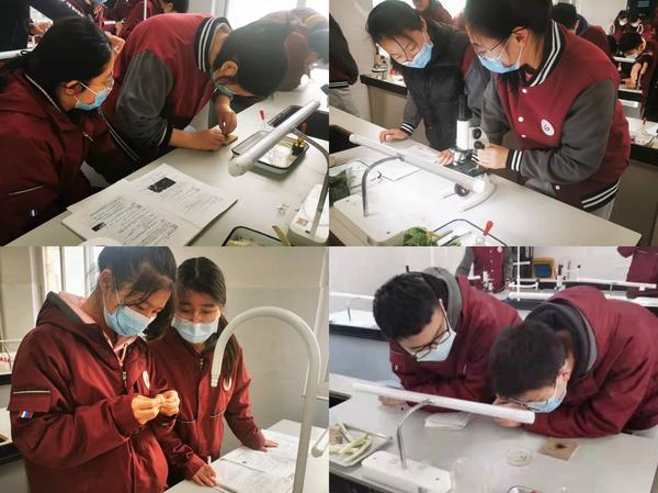 学生“兵教兵”,严扣细节,互相熟练。 学生“兵教兵”,严扣细节,互相熟练。